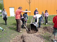 Bild: Wohngebietsfest Hasenholz