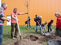 Bild: Wohngebietsfest Hasenholz