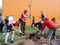 Bild: Wohngebietsfest Hasenholz