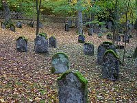 Bild: Rundgang auf J&uuml;dischem Friedhof