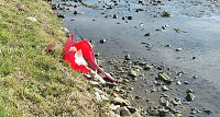 Bild: Es ist schon erstaunlich was da so alles entlang der Wipper in Sondershausen abgeladen wird. Dabei hat kn wieder einige frische und alte Entdeckungen gemacht�  ###pic### Hier wurden mal wieder in einem M&uuml;llsack offensichtlich alte Pflanzgef&auml;&szlig;e entsorgt. So weit ja noch ganz gut.  ###pic### Muss man aber seine M&uuml;llt&uuml;ten unbedingt auf dem Wipperdamm nahe der Kiesgrube ablegen. Wer macht sich die M&uuml;h