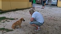 Bild: Ferienfreizeit  Abenteuer Sizilien