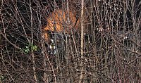 Bild: http://www.kyffhaeuser-nachrichten.de/news/news_lang.php?ArtNr=181390