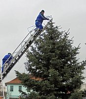 Helbespatzen schmückten den Ebelebener Weihnachtsbaum Bild: Helbespatzen schmückten den Ebelebener Weihnachtsbaum