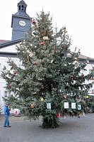 Bild: Weihnachtsmarkt Bad Frankenhausen ist er&ouml;ffnet