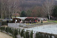 Weihnachtstauchen am Bebraer Teich Bild: Weihnachtstauchen am Bebraer Teich