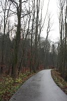 Bild: Verkehrssicherungspflicht mit Augenma&szlig;?