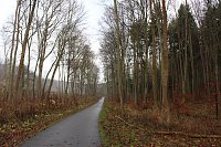 Bild: Verkehrssicherungspflicht mit Augenma&szlig;?