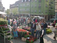 Pflanzenmarkt am Sonntag Bild: Pflanzenmarkt am Sonntag