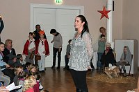 Bild: Der Weihnachtsstern