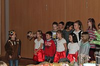 Bild: Der Weihnachtsstern