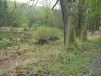 Bild: Am Pfaffenteich