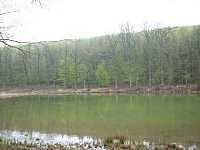 Bild: Am Pfaffenteich