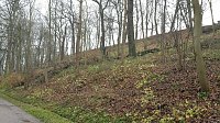 Bild: Wege im Schlosspark bleiben gesperrt