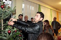 Bild: Nicht nur Weihnachtsbaum gesammelt