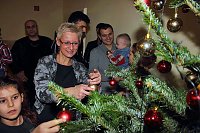 Bild: Nicht nur Weihnachtsbaum gesammelt
