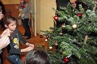 Bild: Nicht nur Weihnachtsbaum gesammelt