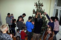 Bild: Nicht nur Weihnachtsbaum gesammelt