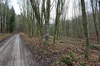Bild: Br&uuml;ckental von Sondershausen meiden