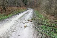 Bild: Br&uuml;ckental von Sondershausen meiden