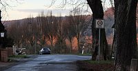 Bild: Kahlschlag um und hinterm Hammateich?