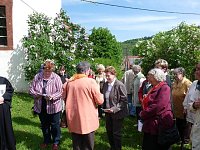 Bild: Orchideenfest G&uuml;nserode