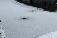 Bild: Gef&auml;hrlicher Leichtsinn auf Parkteich