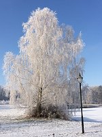 Bild: AWO Seniorenpark Am Schlosspark 