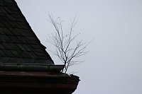 Bild: Sanieren, abrei&szlig;en oder einst&uuml;rzen lassen?