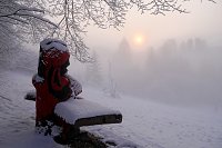 Bild: Winter statt Fr&uuml;hling