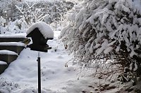 Bild: Winter statt Fr&uuml;hling