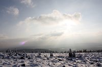 Bild: Am Frauentag auf den Brocken