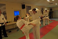 Bild: Hochkar&auml;tiger Kampfkunstlehrgang in Artern