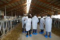 Bild: Besuch aus Rum&auml;nien im Kyffh&auml;userkreis