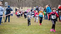 Bild: Anmelderekord beim Possenlauf