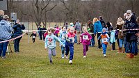 Bild: Anmelderekord beim Possenlauf