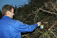 Bild: Ein Feuer ist nicht genug