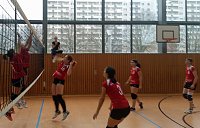 Bild: Saisonabschluss f&uuml;r Volleyballerinnen vom SV Rot Wei&szlig; Wiehe
