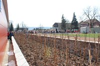 Massenandrang im Kurpark Bad Frankenhausen Bild: Massenandrang im Kurpark Bad Frankenhausen