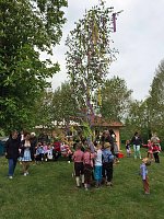 Bild: 1. Maibaumsetzen im AWO Seniorenzentrum Am Schlosspark in Bendeleben