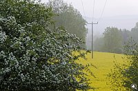 Bild: Wanderung im Morgengrauen