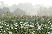 Bild: Wanderung im Morgengrauen