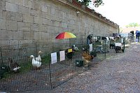 Bild: Guter Start in das Residenzfest