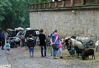 Auflauf zum Abschluss Residenzfest Bild: Auflauf zum Abschluss Residenzfest