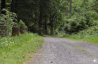 Wandergrüße aus Rothesütte Bild: Wandergrüße aus Rothesütte