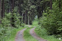 Wandergrüße aus Rothesütte Bild: Wandergrüße aus Rothesütte