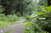 Wandergrüße aus Rothesütte Bild: Wandergrüße aus Rothesütte