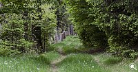 Wandergrüße aus Rothesütte Bild: Wandergrüße aus Rothesütte