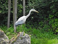 Abstecher in den Schlosspark Bild: Abstecher in den Schlosspark