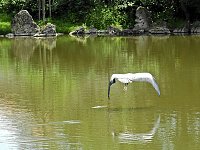 Abstecher in den Schlosspark Bild: Abstecher in den Schlosspark